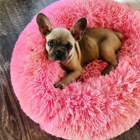 Plush Dog Bed