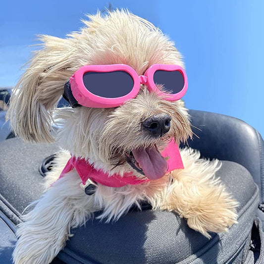 Pup Shades