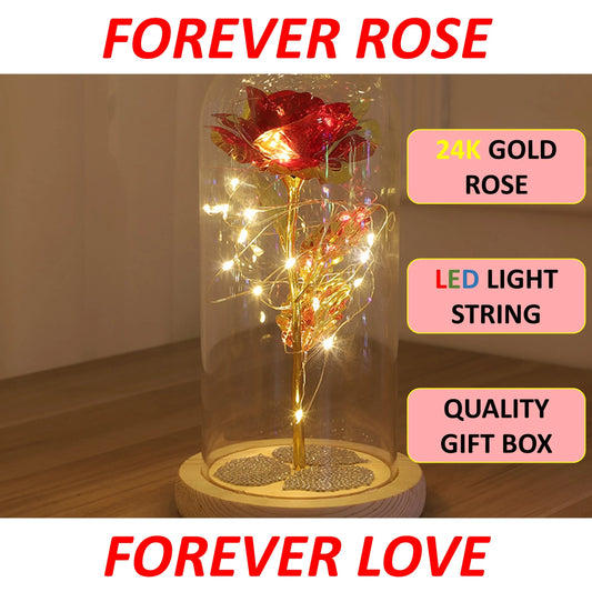 Luminous Love Blossom 🌹